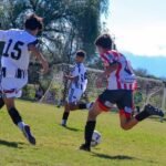 El Tribunal de Disciplina dio a conocer las sanciones tras la séptima fecha del Apertura de Inferiores